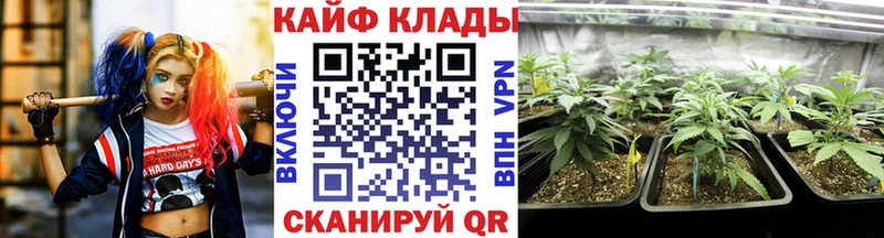 Купить закладку Кокаин  APVP  Псилоцибиновые грибы  Метадон  Мефедрон  Новосибирск