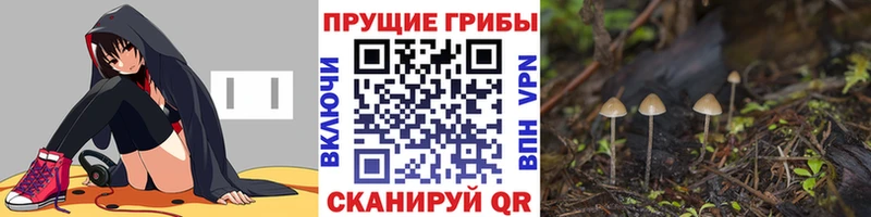 Купить где  Новосибирск  Галлюциногенные грибы Magic Shrooms 